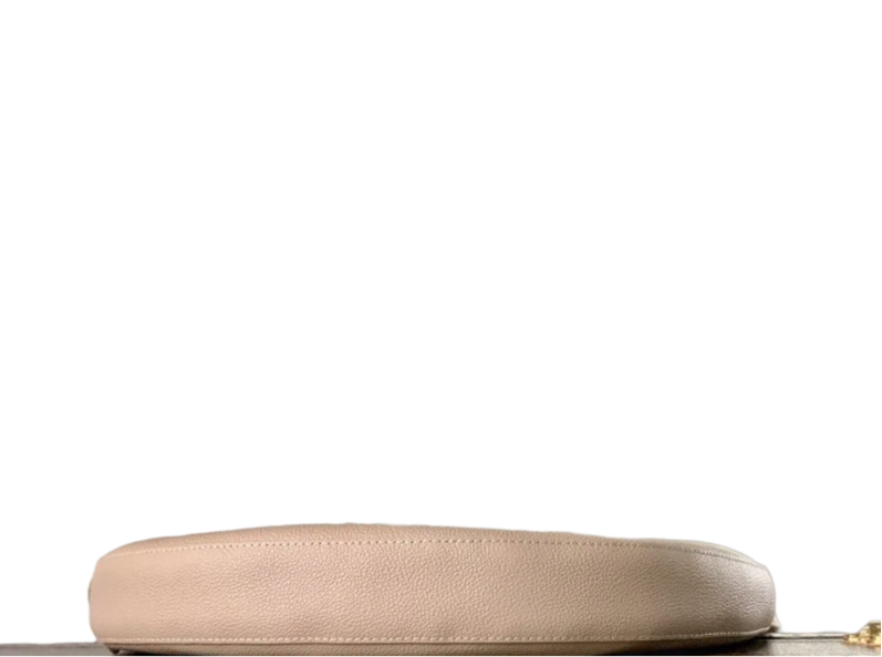 Louis Vuitton Low Key Cookie MM bag